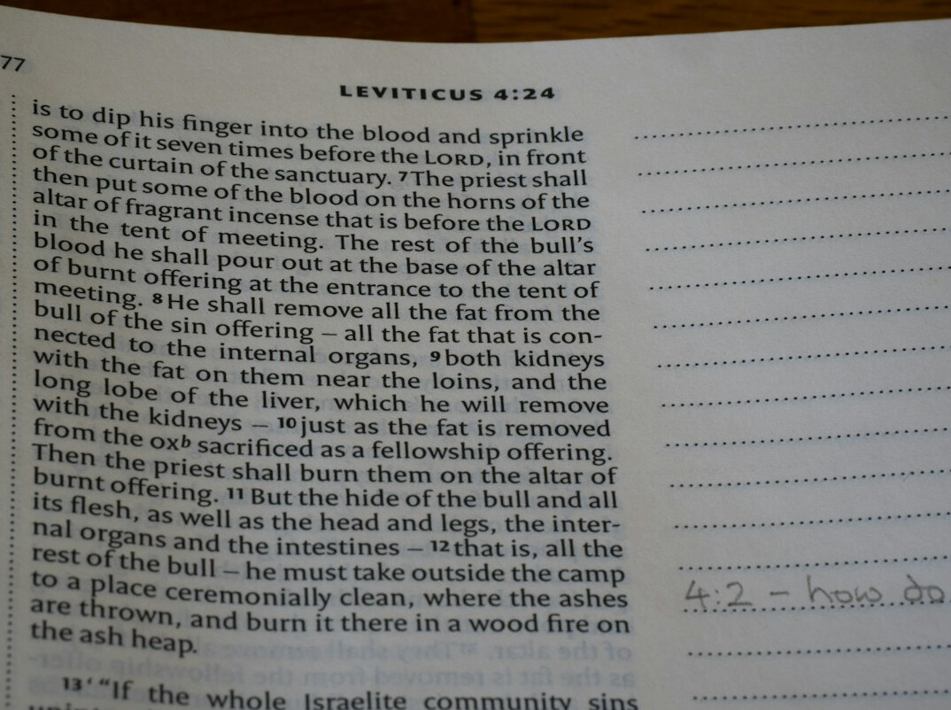 twisted plot book